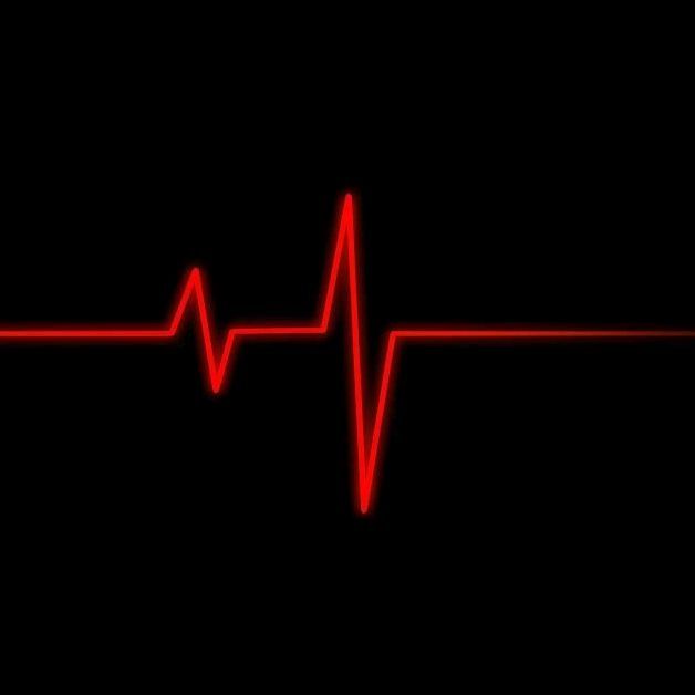 🦅 Футажи 🖤