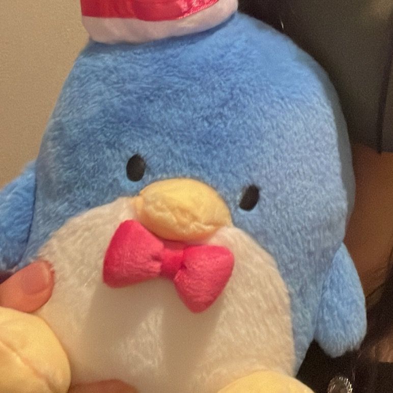 🩵❔どんぺん❔🩵