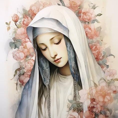 🩷たんたん🖤