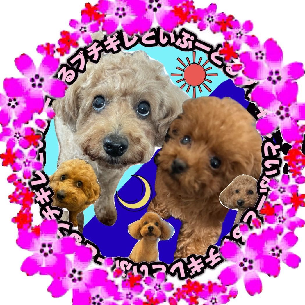 ブチギレといぷーどる♀🐶💢