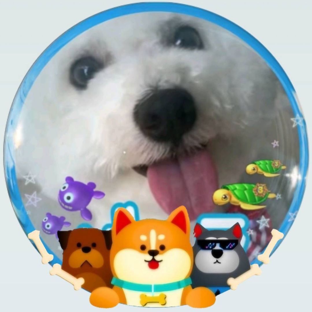 バニラ🐻❄️🍦