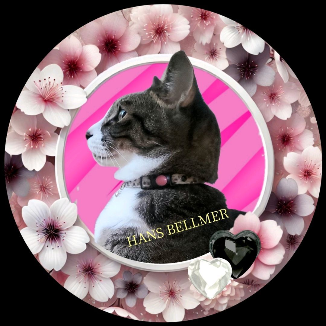 🌸🐾ﾊﾝｽﾍﾞﾙﾒｰﾙ🐾🌸hans bellmer