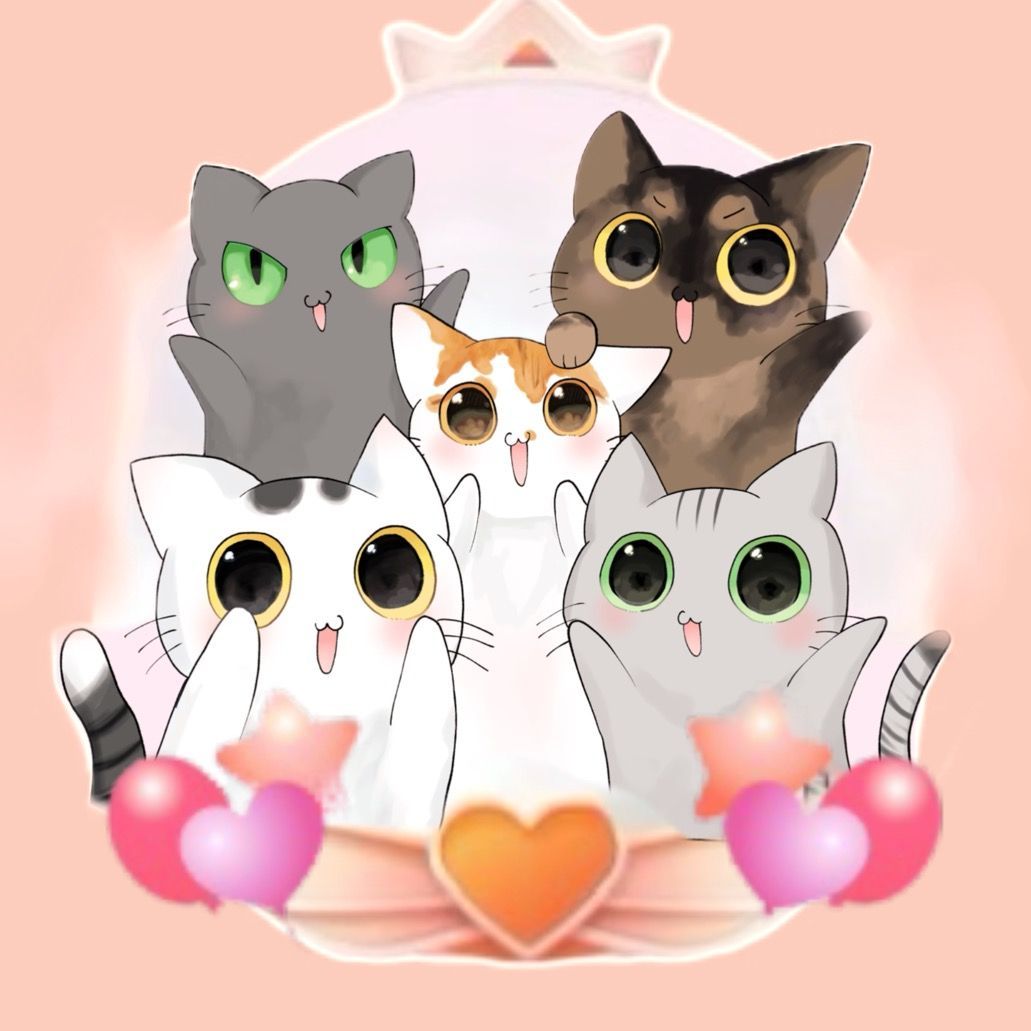 ねこほう🫰🐱💝