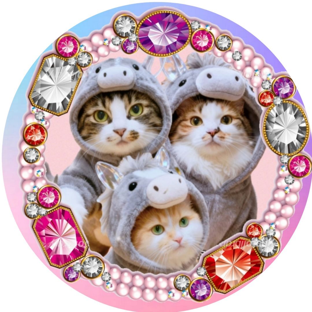 はるにゃん𓏲𓎨𓏲𓎨𓏲𓎨♡