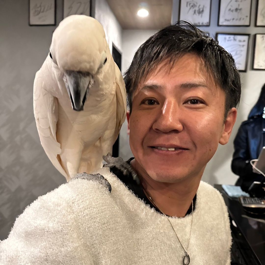 👑いちのせ🔫ともや👑