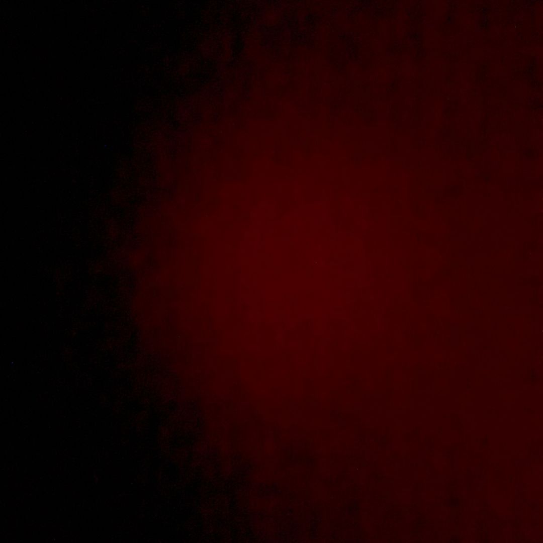 🎂1/26🎂引退しました！が、お祝いお待ちしてます！