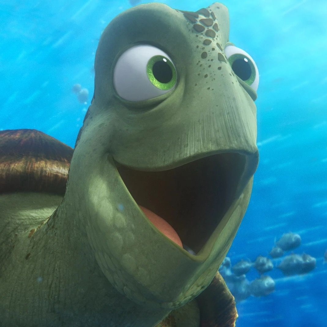 ただのカメ🐢🫧Justin