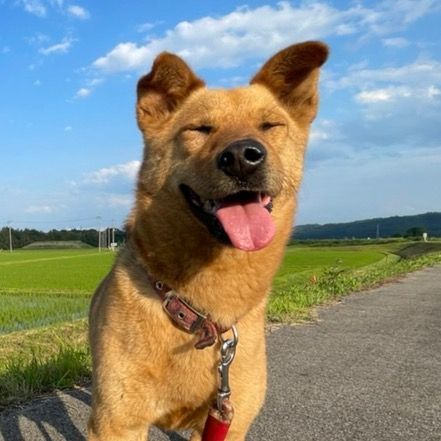 こめっち農家👨‍🌾🌾
