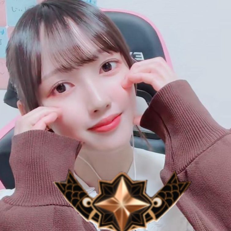 🦀かにめし🍚強くなる