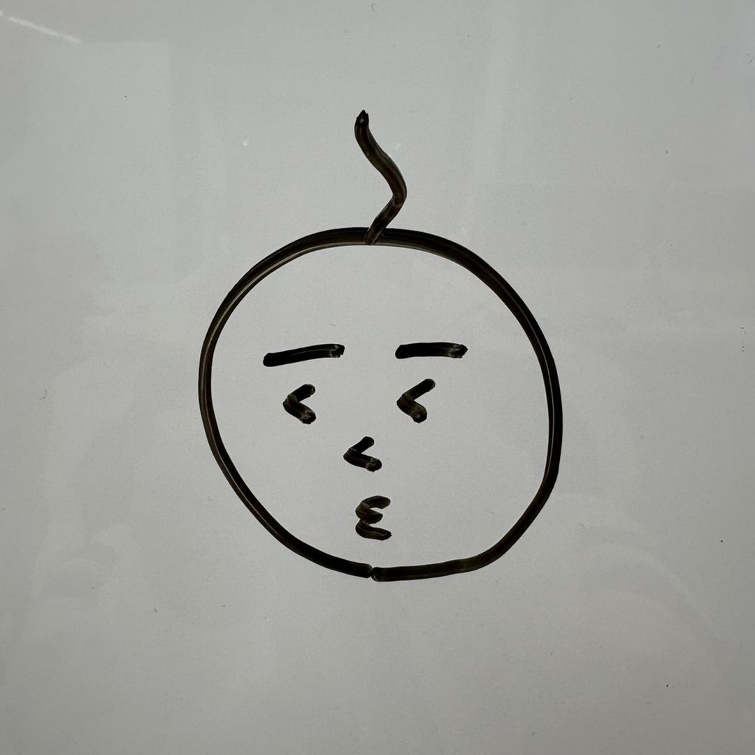 🐯かっしー☀️