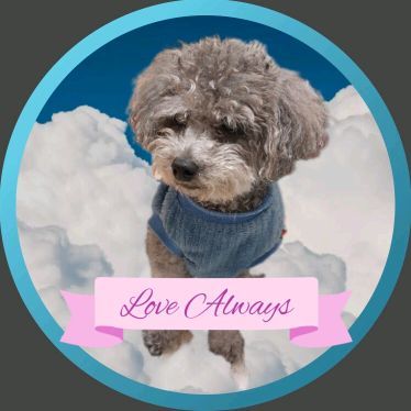 おでこまる💖🐻