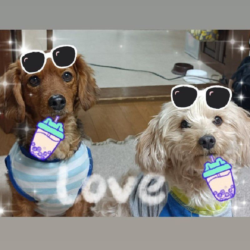 💛クレパト💛