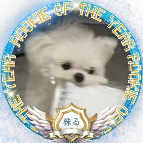 すたいんるか。