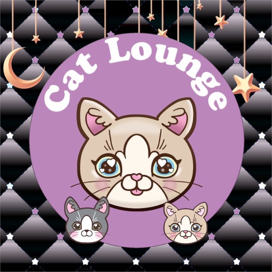 まみ🩷🐱🥂子猫ブリーダー