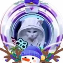 メダルスター👉🧸👈