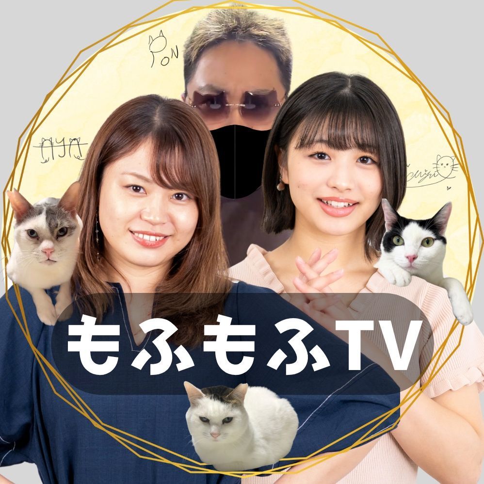 もふもふテレビ【公式】🐈⬛🤍🖤