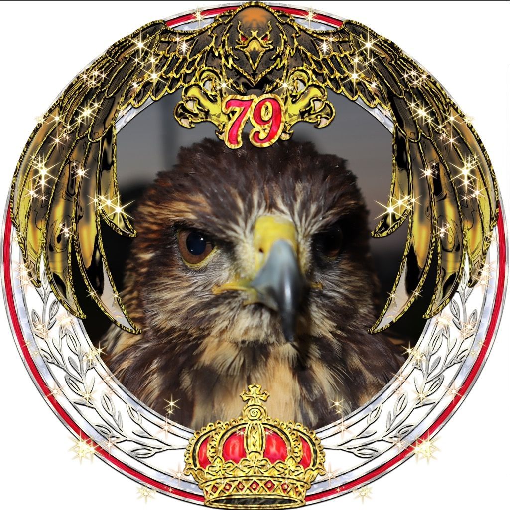 🦅凪雲のsora☁🌳北海道鷹匠