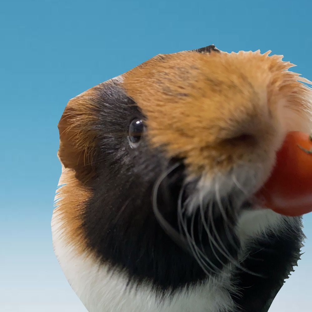 1/2🎂🥢Nemesis🌶🥢