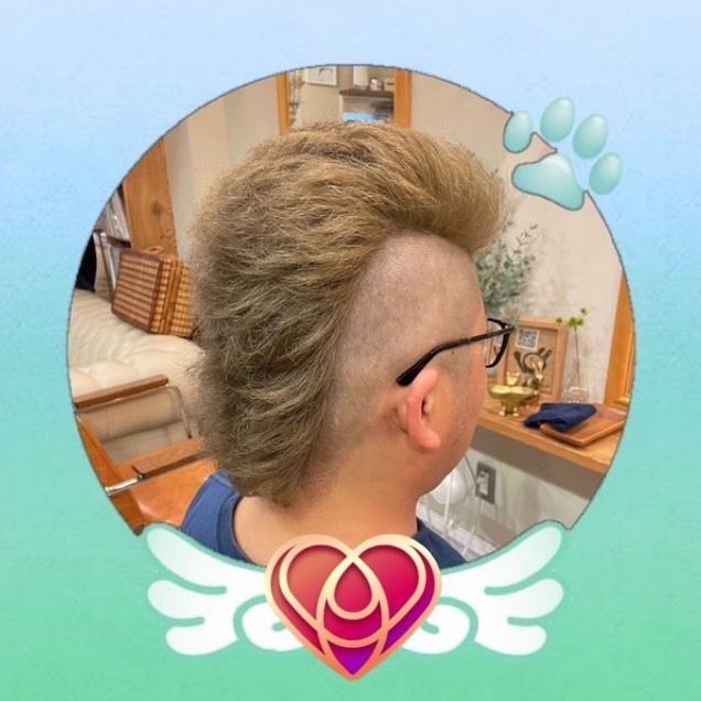 たまのカツアゲ(katsumitsu)👼🐾