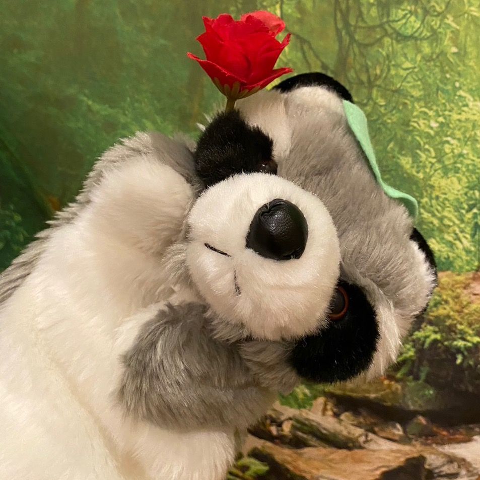 ぽんきち🍄🍃