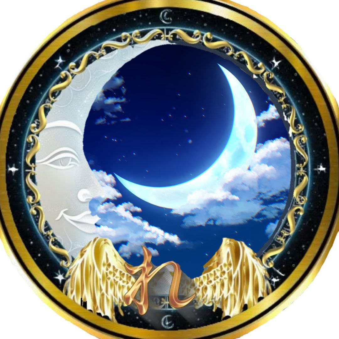 れごりす🌙💫