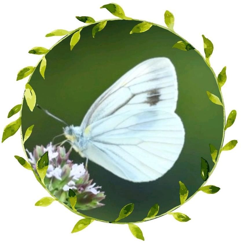 タクそん🇯🇵パイ⛑️