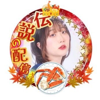 癒し歌♫にちほ🐱🪄