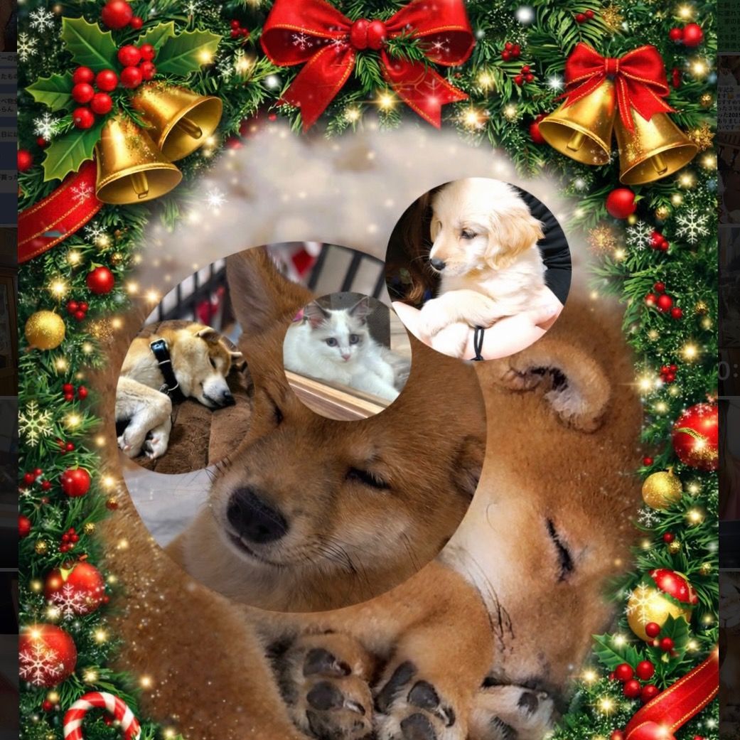 ザッキー【九州】